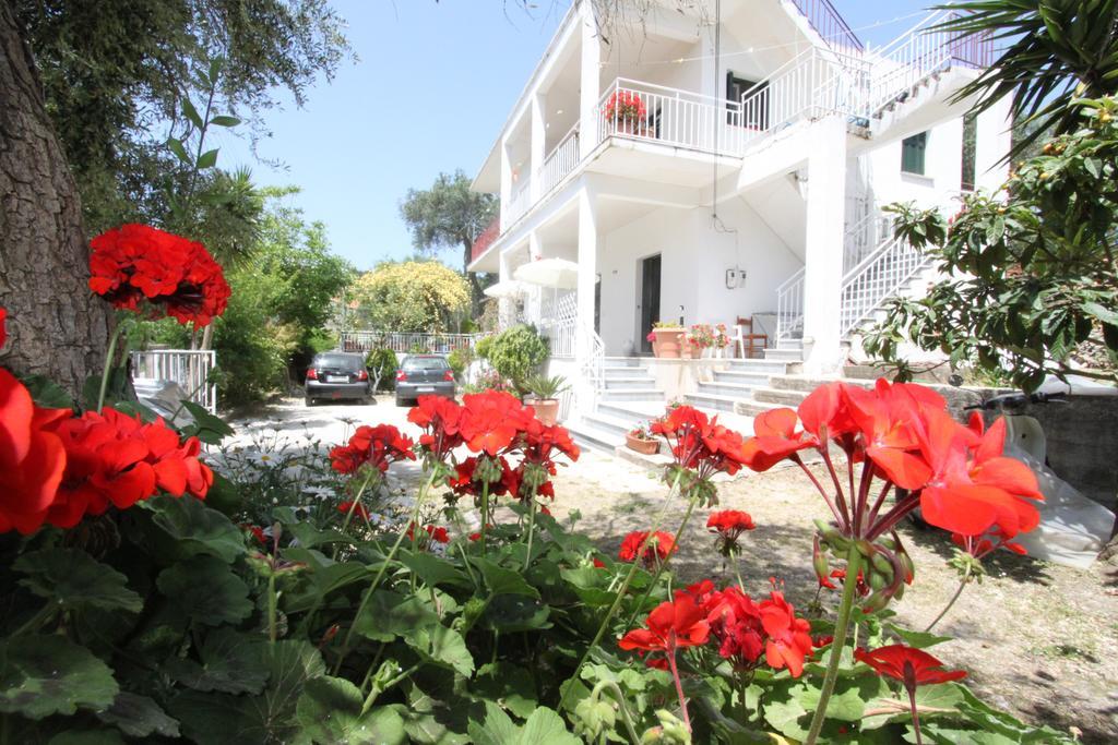 Apartament Angeliki Studio And